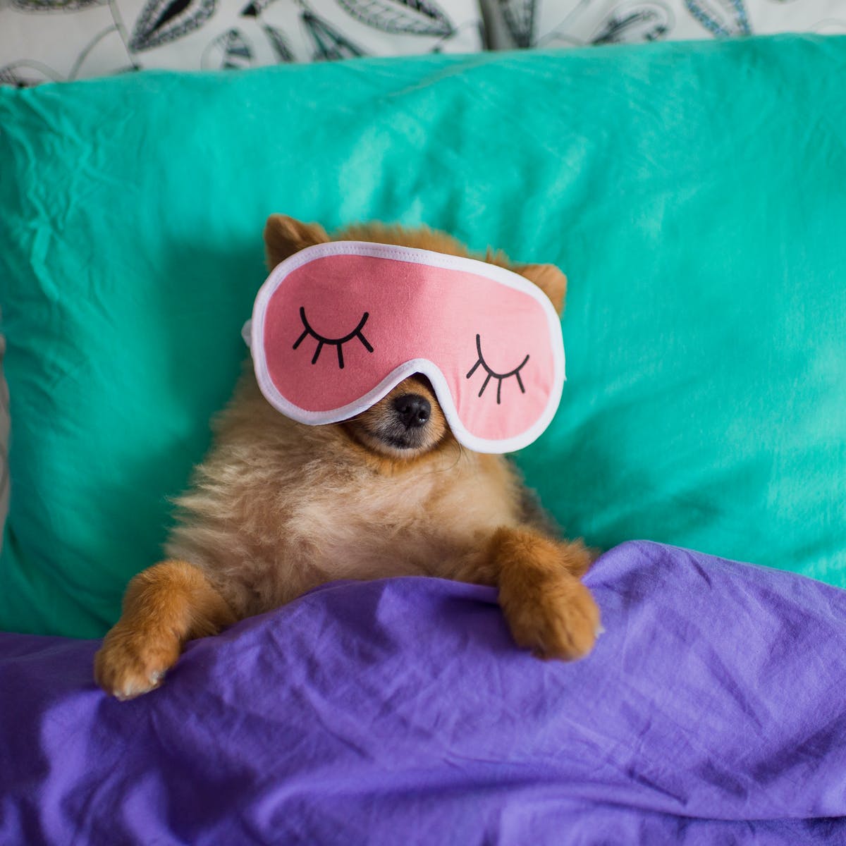 BEAUTY SLEEP: 7 Pasos para lograr un sueño reparador